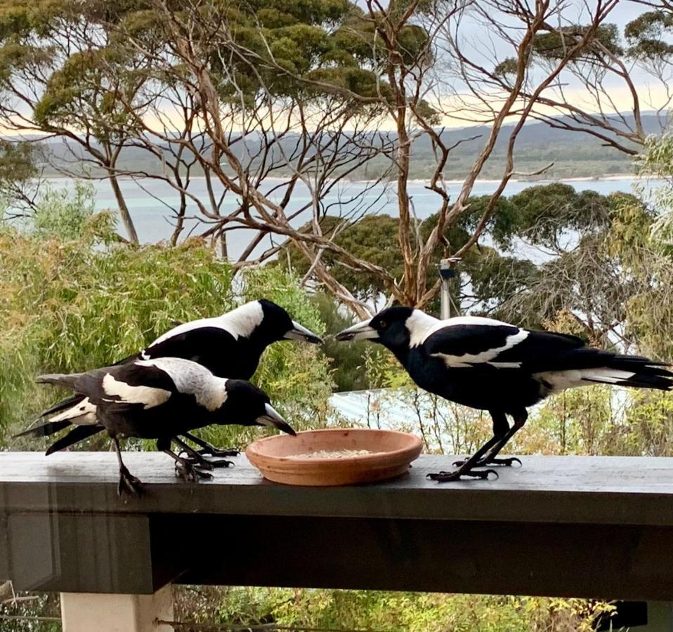 The River Suites, Kangaroo Island American River Esterno foto